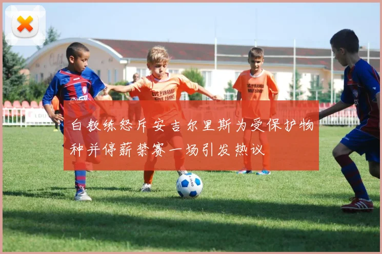 白教练怒斥安吉尔里斯为受保护物种并停薪禁赛一场引发热议