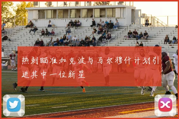 热刺瞄准加克波与马尔穆什计划引进其中一位新星